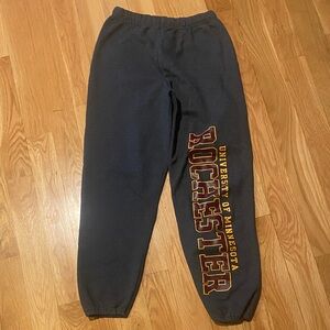 University of Minnesota Rochester Sweatpants - gray